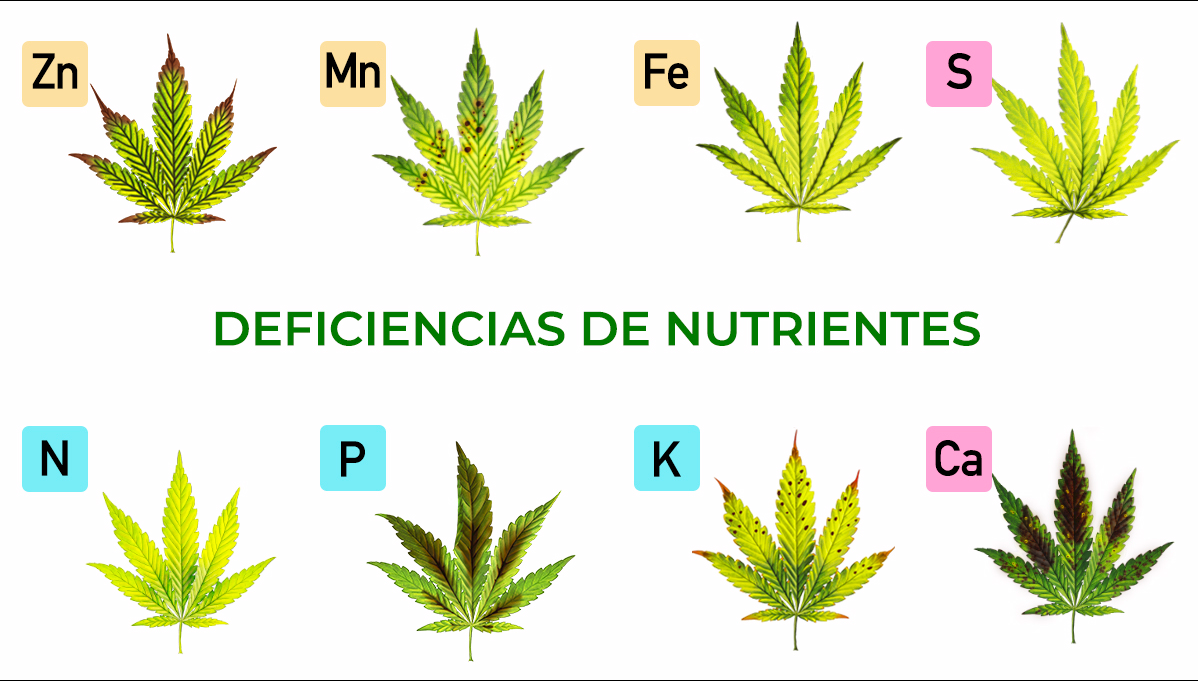 Tabla de Deficiencias